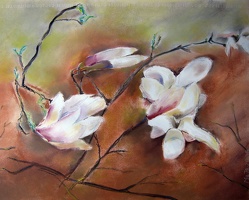 Magnolia (Laski)