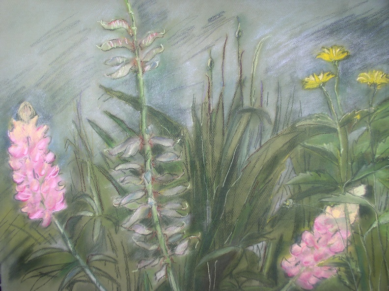 P1010004_3.JPG