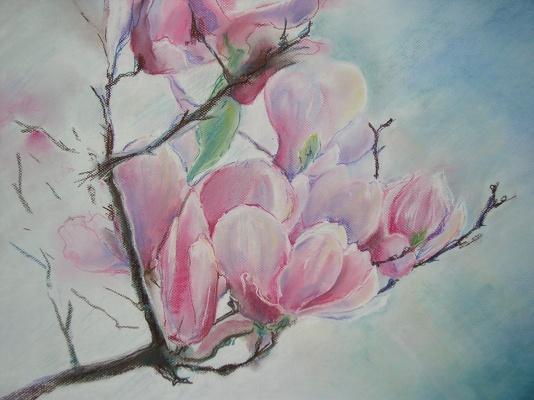 Magnolie dla Iwony