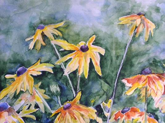 Rudbekie